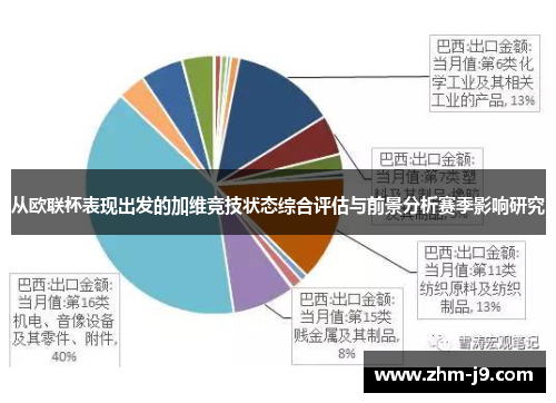 从欧联杯表现出发的加维竞技状态综合评估与前景分析赛季影响研究